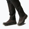Men's trekking boots REGATTA Blake peat/burnt henna 5