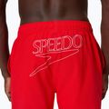 Men's swim shorts Speedo Classic Logo Volley 16" high risk red 6