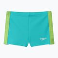 Men's swim boxers Speedo Colorblock Aquashort aqua breeze