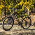 Electric bike EcoBike SX300/X300 LG 12.8Ah green 1010404 17