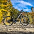 Electric bike EcoBike SX300/X300 LG 12.8Ah green 1010404 18