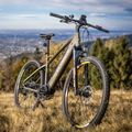 Electric bike EcoBike SX300/X300 LG 12.8Ah green 1010404 19