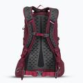 Gregory Kiro 22 l amethyst purple hiking backpack 3