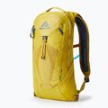 Hiking backpack Gregory Pace 6 l H2O mineral yellow