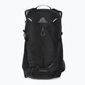 Gregory men's hiking backpack Miko 15 l black 145274