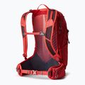 Gregory men's hiking backpack Miko 20 l red 145275 7