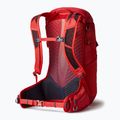 Gregory men's hiking backpack Miko 30 l red 145277 7
