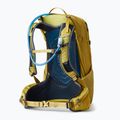 Women's hiking backpack Gregory Juno 24 l yellow 141341 6