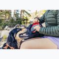 Gregory Nano 30 l bright navy hiking backpack 7