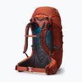 Kids' hiking backpack Gregory Wander 50 l Red Rock 2