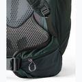 Trekking backpack Gregory Paragon 50 l RC cascade green 3