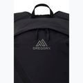 Hiking backpack Gregory Aerolite 25 l black 4