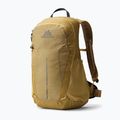 Hiking backpack Gregory Arrio 20 RC amber haze