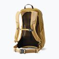 Hiking backpack Gregory Arrio 20 RC amber haze 2
