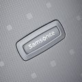Samsonite S'cure Spinner travel case 34 l silver 10