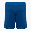 Children's trekking shorts LEGO Lwpandum 300 blue 2