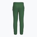 Children's trousers LEGO Lwpeiter 101 dark green 2