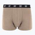 Men's trunks CR7 Basic Trunk 5 pairs 2414 multicolour 5
