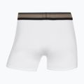 Men's boxers CR7 Fashion Trunk 5 pairs multicolour 10