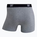 Men's boxers CR7 Basic Trunk 7 pairs 2820 multicolor 14