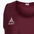 Senior football marker SELECT Basic maroon 6841003997 3