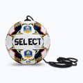 SELECT Street Kicker Allsvenskan football 151026 size 4