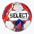 SELECT Brillant Training DB v23 120069 size football 2