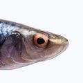 Savage Gear LB 4D Herring Shad rubber bait roach 63663 2