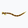 Westin BloodTeez Worm Teez rubber bait 8 pcs motoroil gold P001-309-006