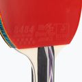 Double Fish 3D-C table tennis racket 3