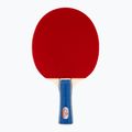 Double Fish DF-02 table tennis racket