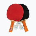 Double Fish 036A table tennis set 2