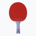 Double Fish 5A+ table tennis racket