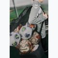 Bag for balls Hummel Core Ball black 7
