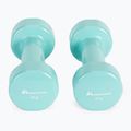 Meteor dumbbells 2 x 2 kg mint 30184 3