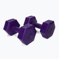 Meteor bitumen dumbbells 2 x 2 kg purple 30166