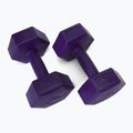 Meteor bitumen dumbbells 2 x 2 kg purple 30166 2
