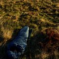 Sleeping bag AURA Nom 300 left blue AU07122 12