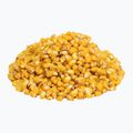 Carp Target Banana fishing corn 0006 2