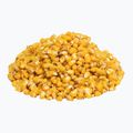 Carp Target Natural Fishing Corn 0004 2