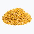 Carp Target Natural Fishing Corn 0023 2