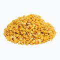 Carp Target Scopex 0024 fishing corn 3