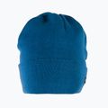 Men's ski cap Viking Aston navy blue 210/21/0059 2