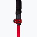 Viking Spider ski poles black/red 5
