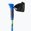 Viking Nordic walking poles Ruten Pro 15 blue/black 650/22/5190/15 2