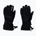 Men's Viking Hudson GTX Ski Gloves black 160/22/8282/09