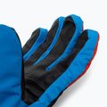 Women's ski gloves Viking Cool Daddy coloured 110/24/6336 5