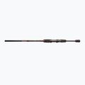 DRAGON Fishing Express Spinn 25 spinning rod