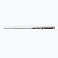 DRAGON Fishing G.P.Concept Jerk 80H spinning rod