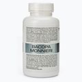 Bacopa Monnieri 7Nutrition 550mg memory and concentration 60 capsules 7Nu000426 2